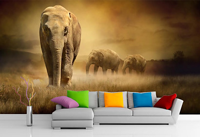fototapeta slon elephant afrika africa safari slonica mláďa 